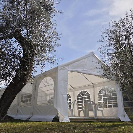 Appartamento Alba Dachi Farm Marina dʼMarina dʼAndora Zewnętrze zdjęcie