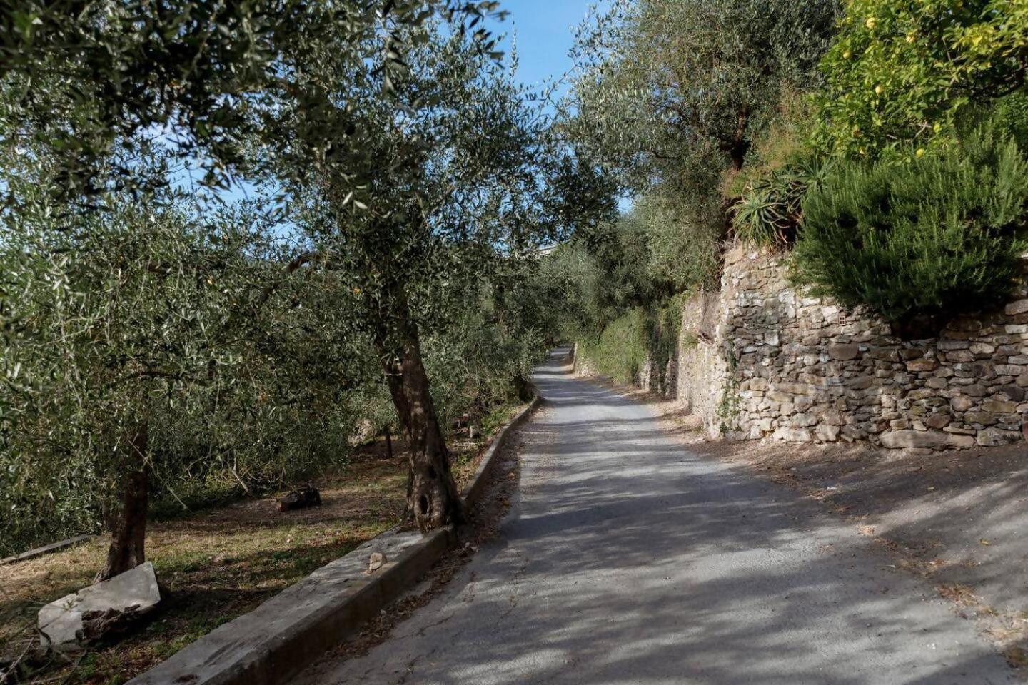 Appartamento Alba Dachi Farm Marina dʼMarina dʼAndora Zewnętrze zdjęcie