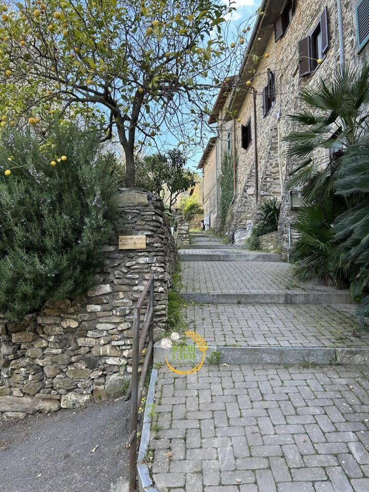 Appartamento Alba Dachi Farm Marina dʼMarina dʼAndora Zewnętrze zdjęcie