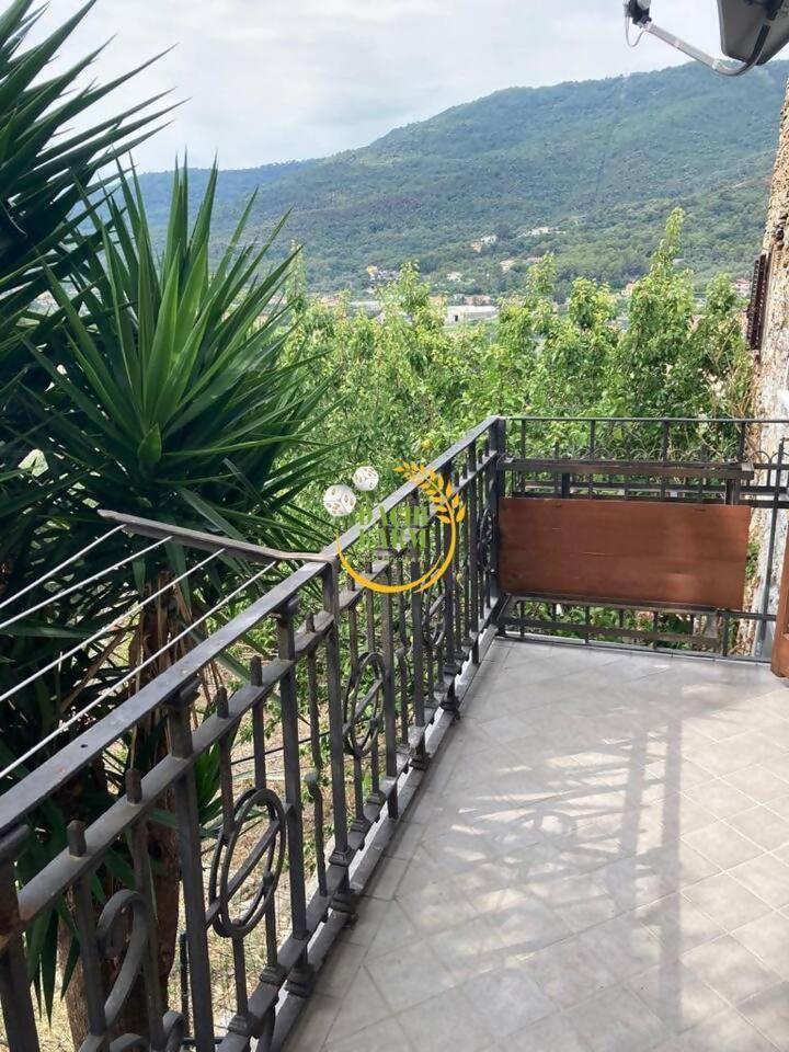 Appartamento Alba Dachi Farm Marina dʼMarina dʼAndora Zewnętrze zdjęcie