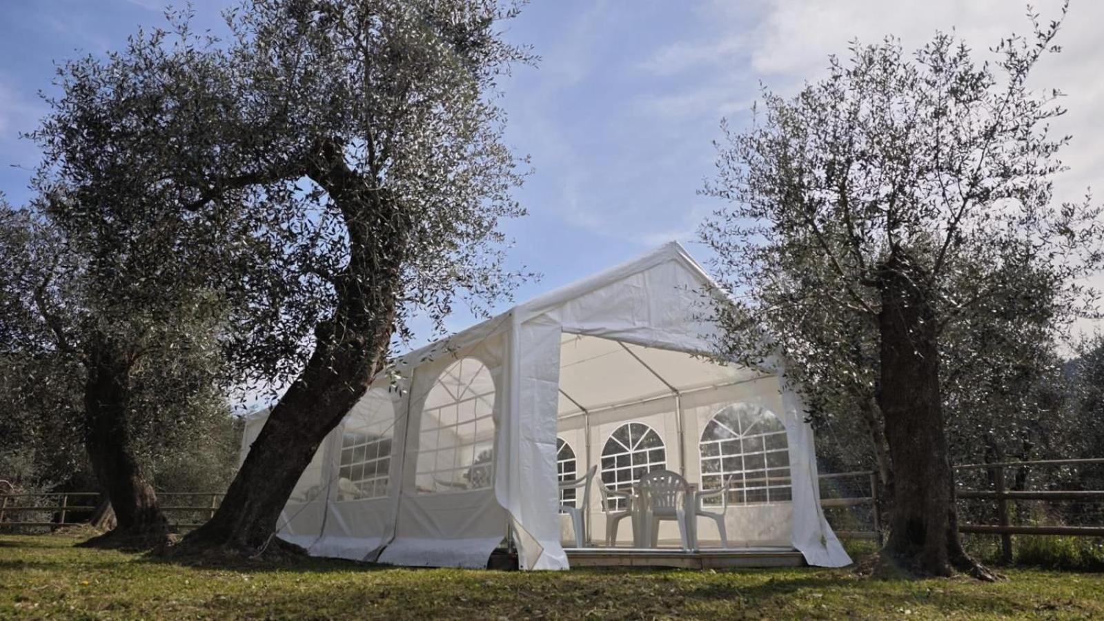 Appartamento Alba Dachi Farm Marina dʼMarina dʼAndora Zewnętrze zdjęcie